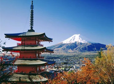 Trip Packages - AYX