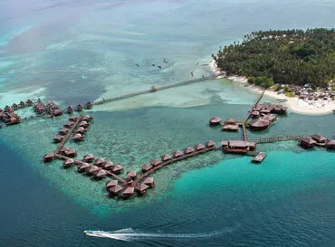 Trip Packages - AYX